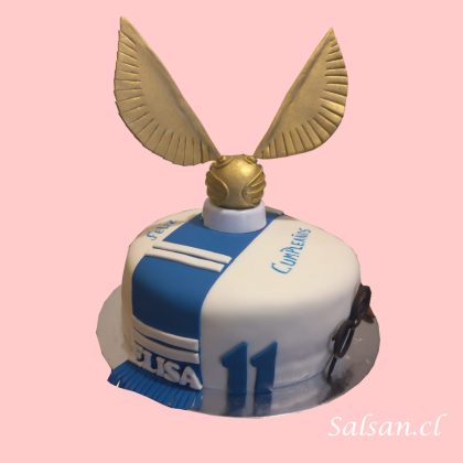 Torta de Harry Potter Elisa