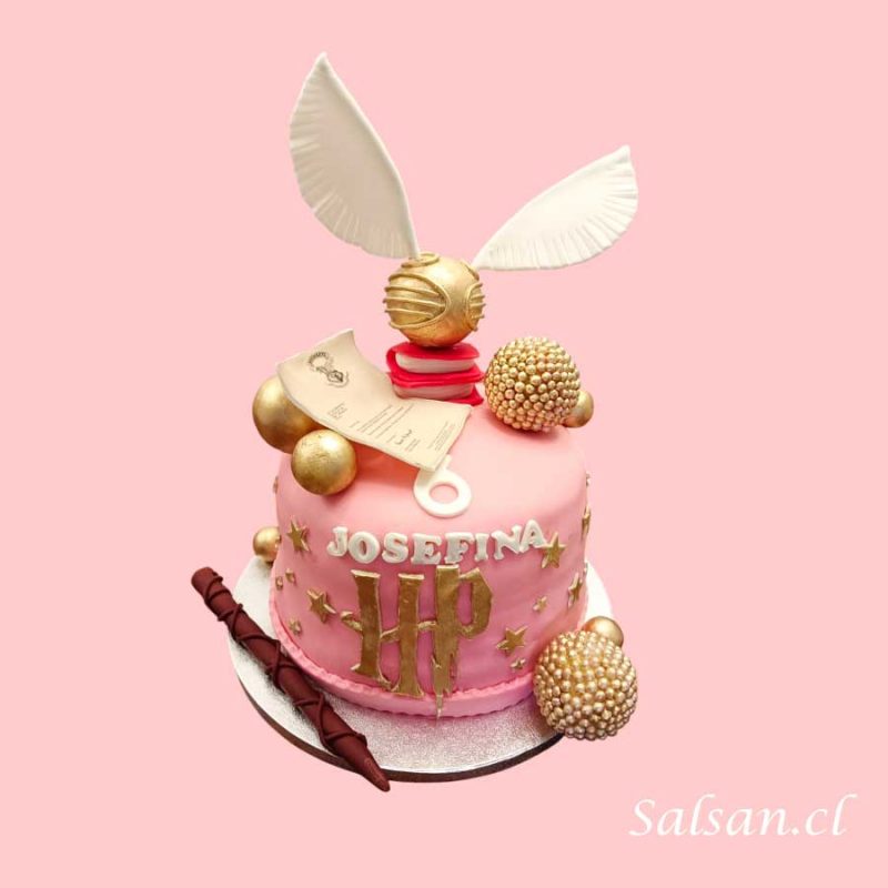 Torta cumpleaños harry potter josefa