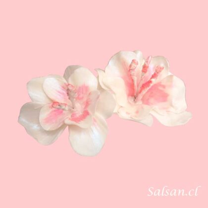 Figura De Flor De Hibiscu