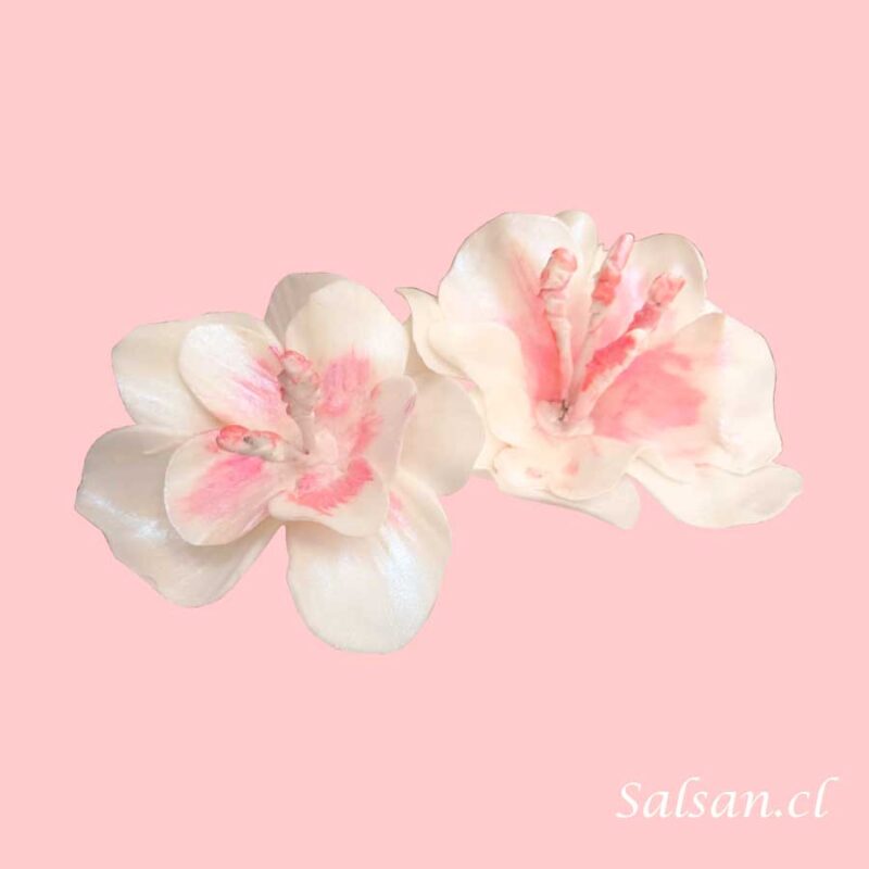 Figura De Flor De Hibiscu