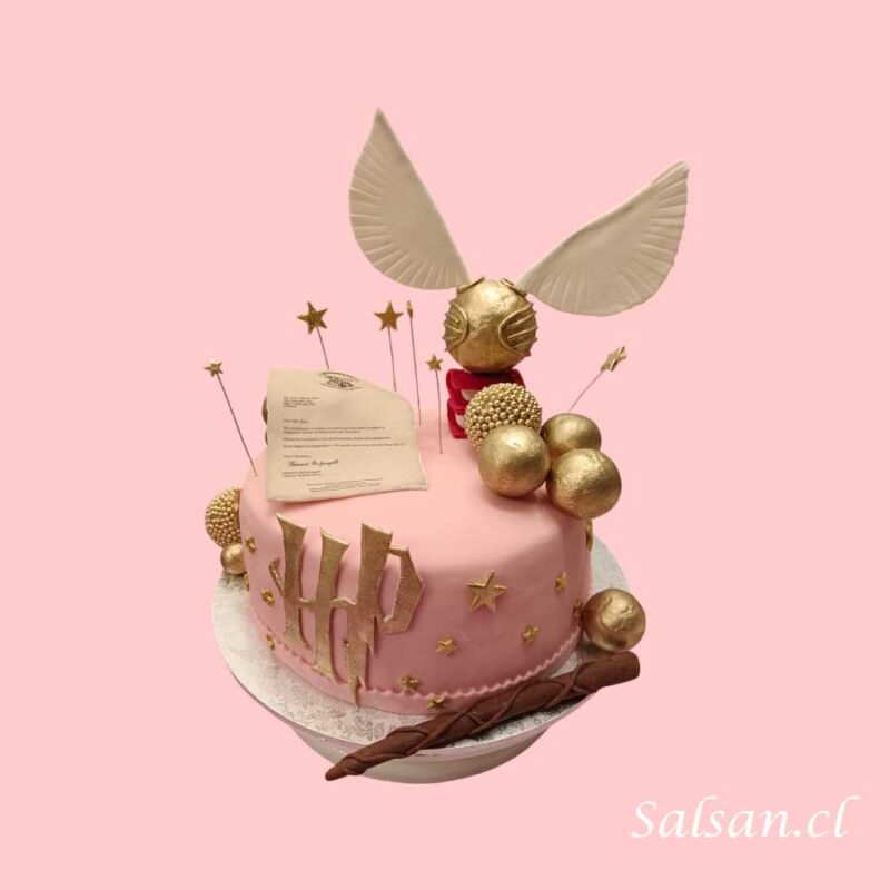 Torta Cumpleaños Harry Potter Rosa - Imagen 2