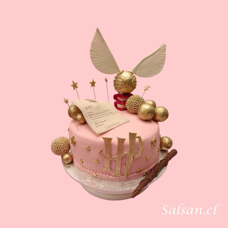 Torta Cumpleaños Harry Potter Rosa